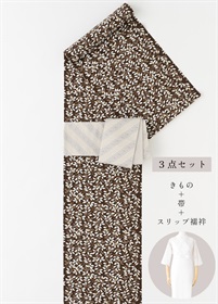 【WEB限定】はじめてきもの５万円セット　１