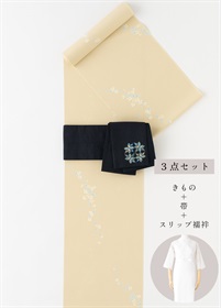 【WEB限定】はじめてきもの７万円セット　３