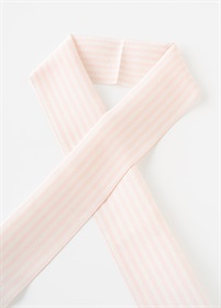 【WEB限定】半衿　ストライプ　ピンク