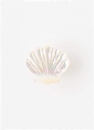 帯留　シェル　白浜の貝殻