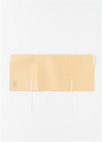 たとう紙・大　３枚セット