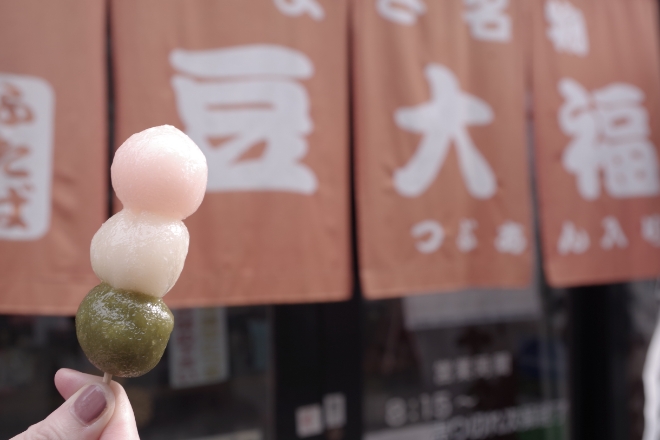 京都に来たら、やっぱりグルメは欠かせません。和菓子・和食、目で見て楽しく、食べて美味しく京都を満喫。