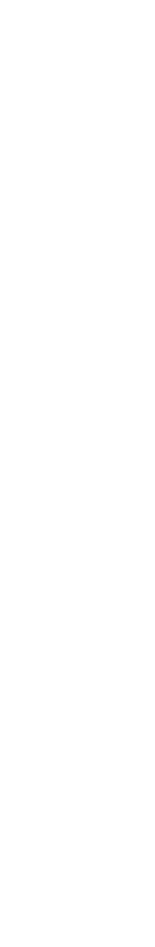 お正月はやっぱり着物 感謝と願いを込めて初詣へ