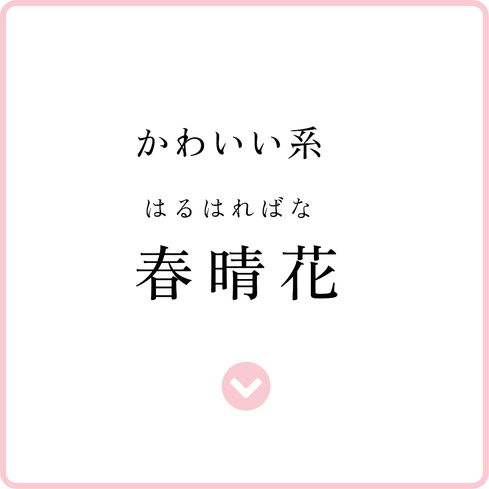 かわいい系 春晴花