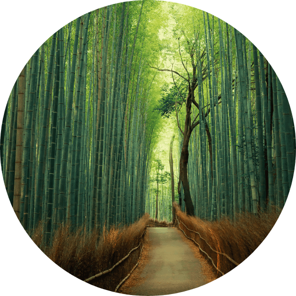 古都散策