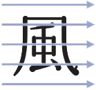 虫干しに最適な場所は?