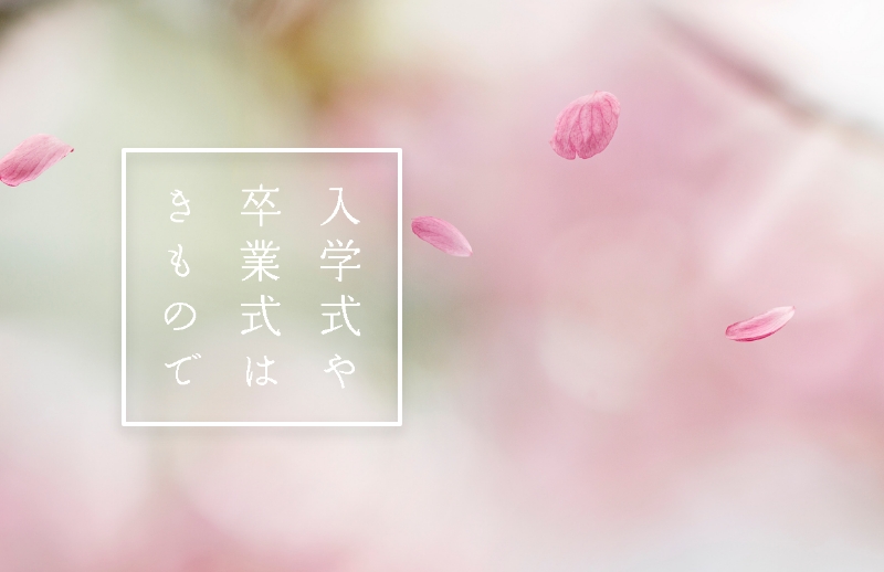 さサイズ 半幅帯 薄灰色 ライトグレー ピンク 梅 枝 花 正絹 手織り すくい織 つづれ織 リバーシブル おび工房 カジュアル 夏向け