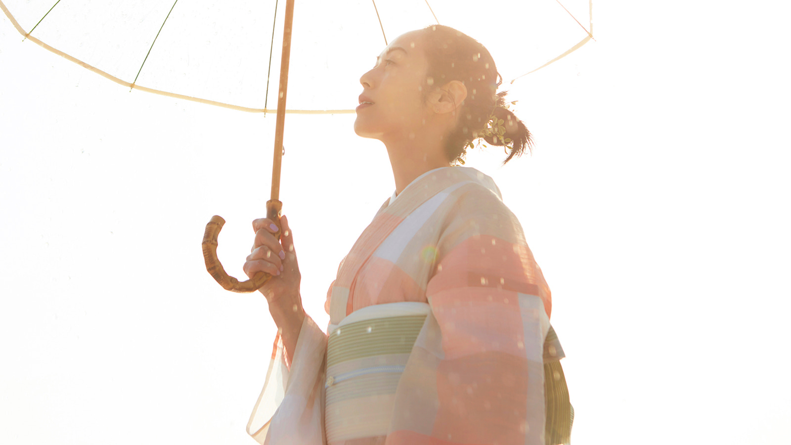 2022年 春夏コレクション「お天気雨」