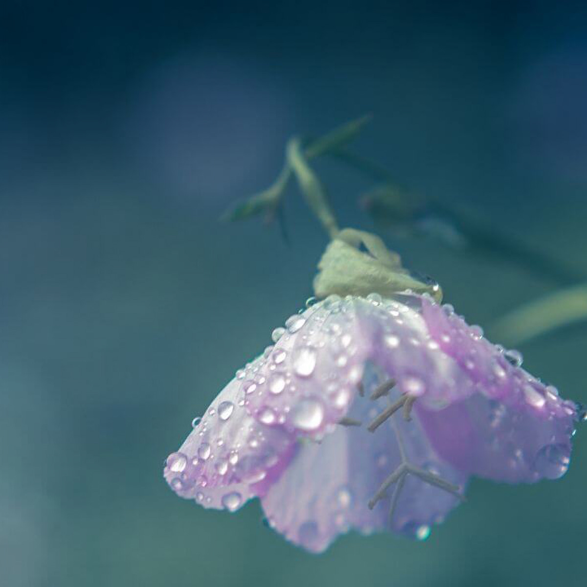 雨の日が楽しくなる!?梅雨支度のすすめ