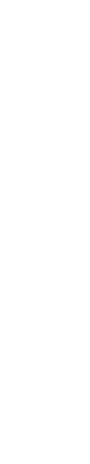 お祝い事やお正月はじめに明るさを添える灰色のきもの