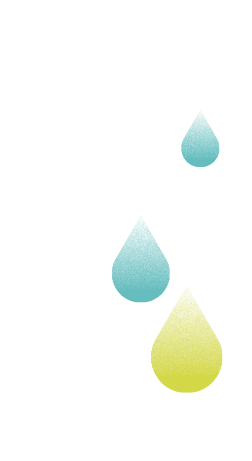 雨