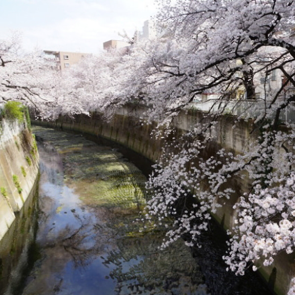 神田川