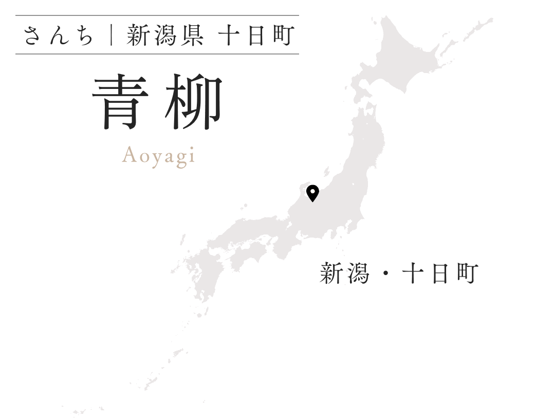 青柳 新潟県 十日町