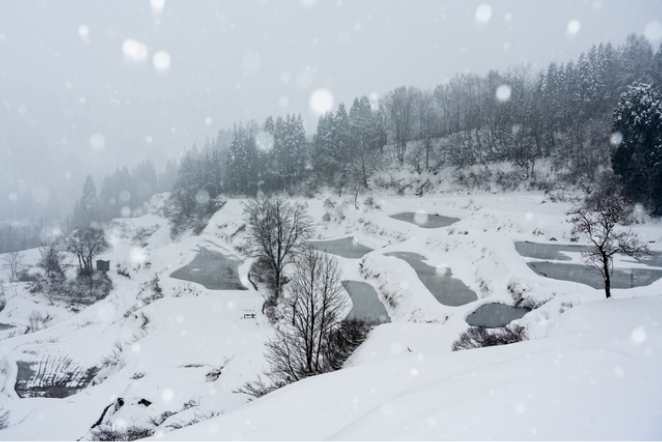 豪雪地帯としても知られる新潟十日町。毎年平均2mもの雪が降り積もります。冬場は農作業が出来ないため、家内での織物が生業となりました。