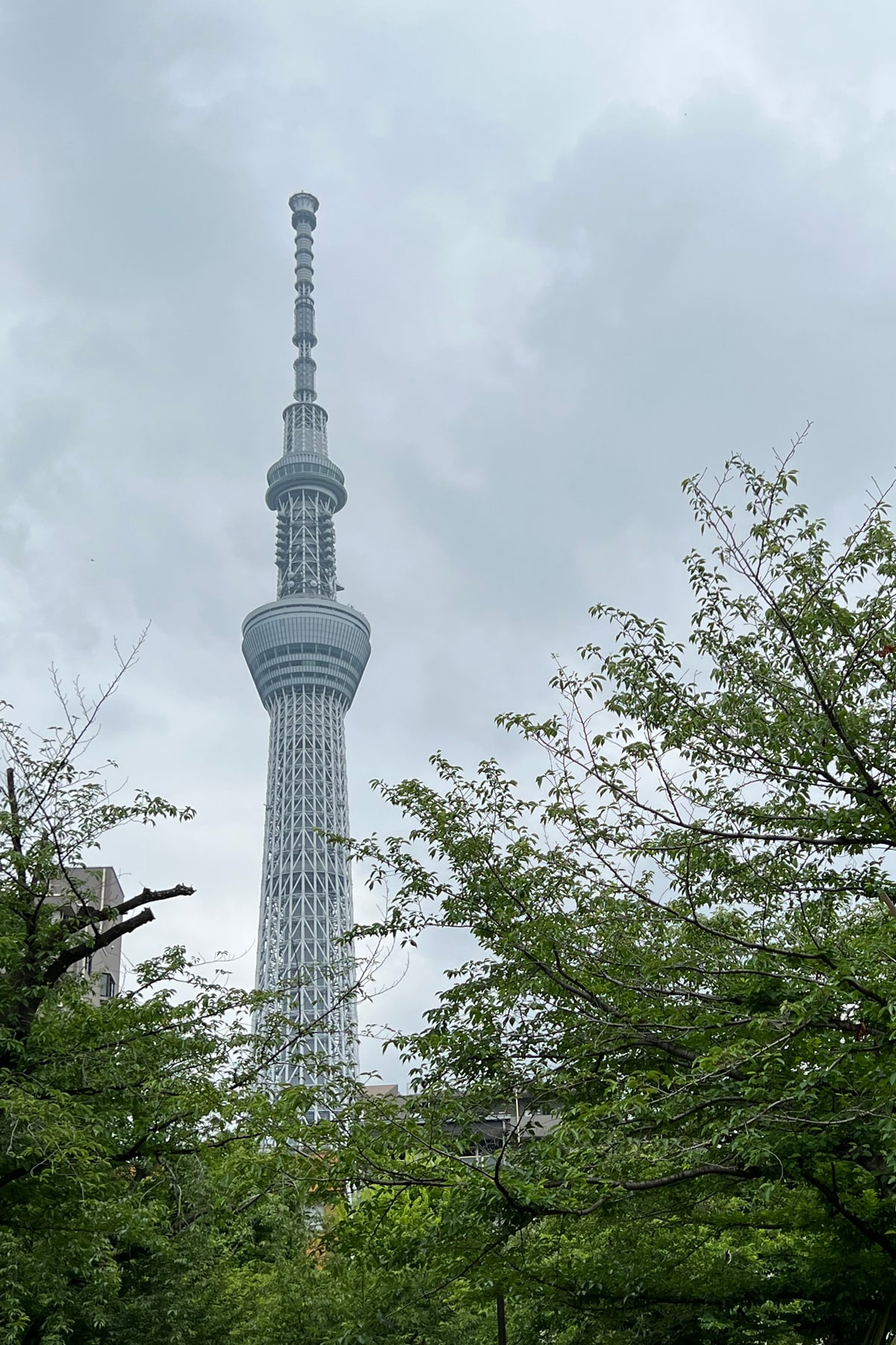 大松染工場 イメージ2