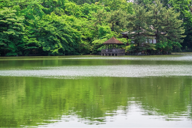 石神井公園内にある三宝寺池は、武蔵野三大湧水池としても有名。武蔵野台地からの地下水が湧き出ている。